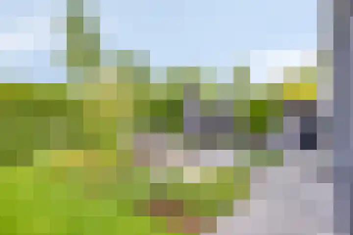 Strandkrab 42 Bergen op Zoom thumbnail 35