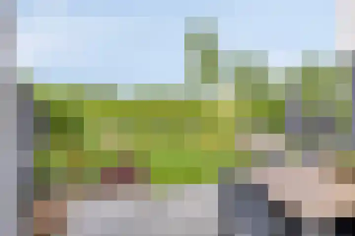 Strandkrab 42 Bergen op Zoom thumbnail 36
