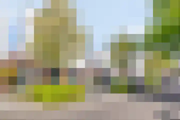 Strandkrab 42 Bergen op Zoom thumbnail 37