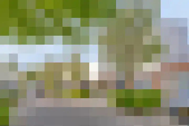Strandkrab 42 Bergen op Zoom thumbnail 38