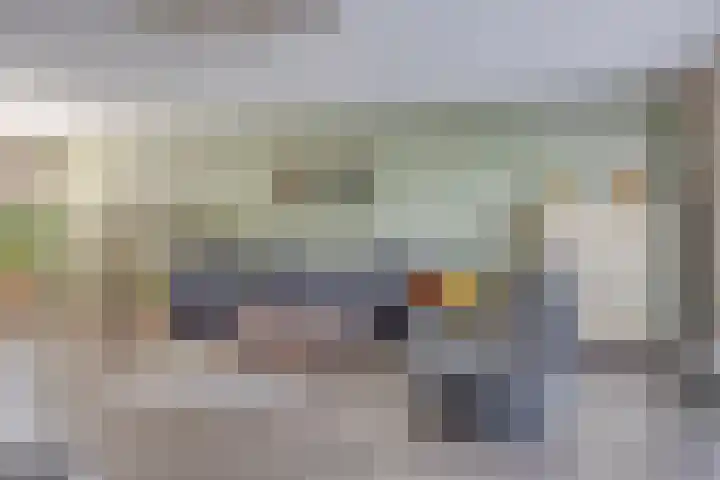 Strandkrab 42 Bergen op Zoom thumbnail 4