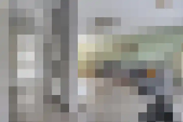 Strandkrab 42 Bergen op Zoom thumbnail 6