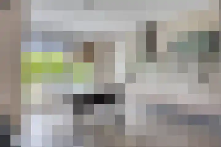 Strandkrab 42 Bergen op Zoom thumbnail 7