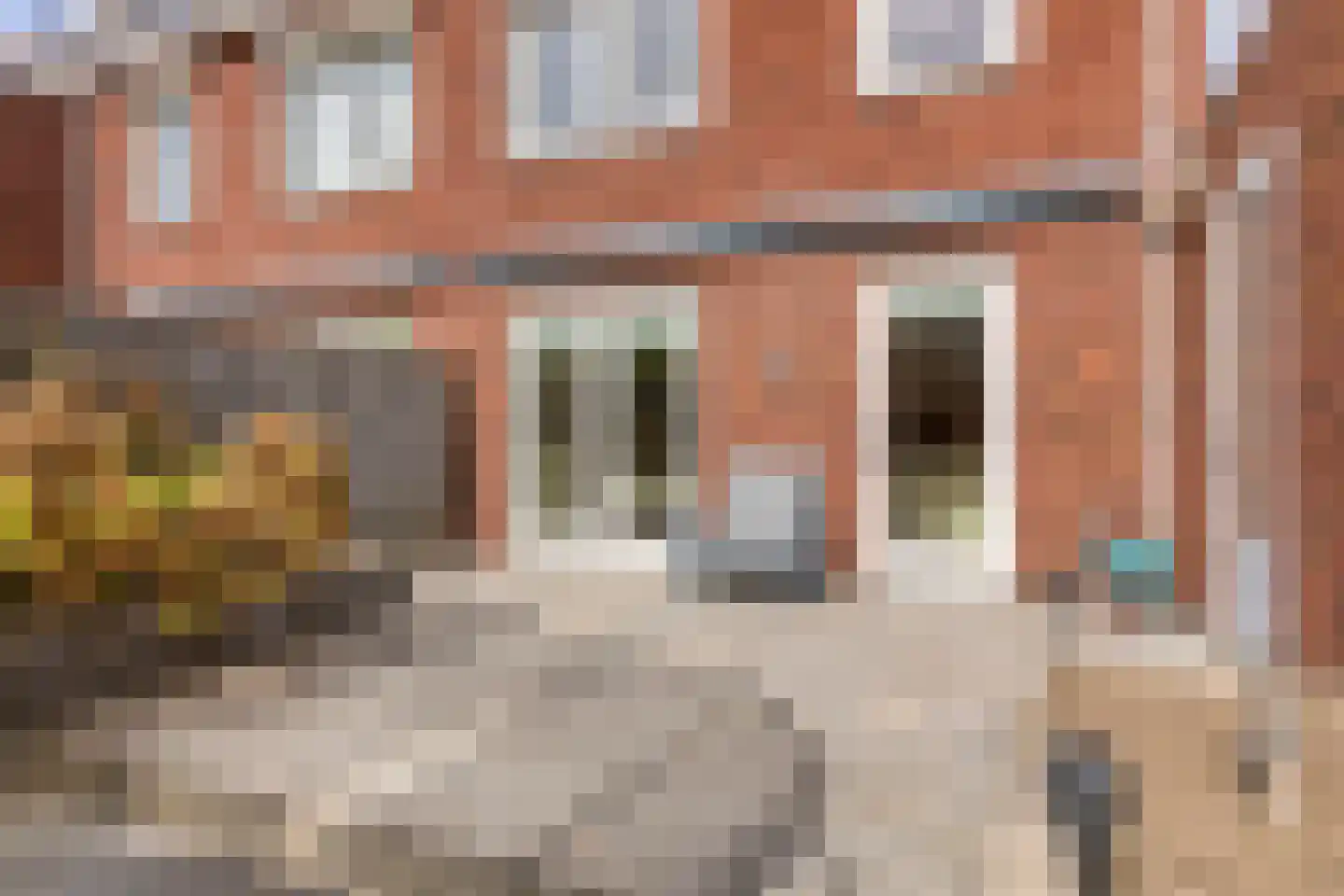 Strandkrab 5 Bergen op Zoom thumbnail 50