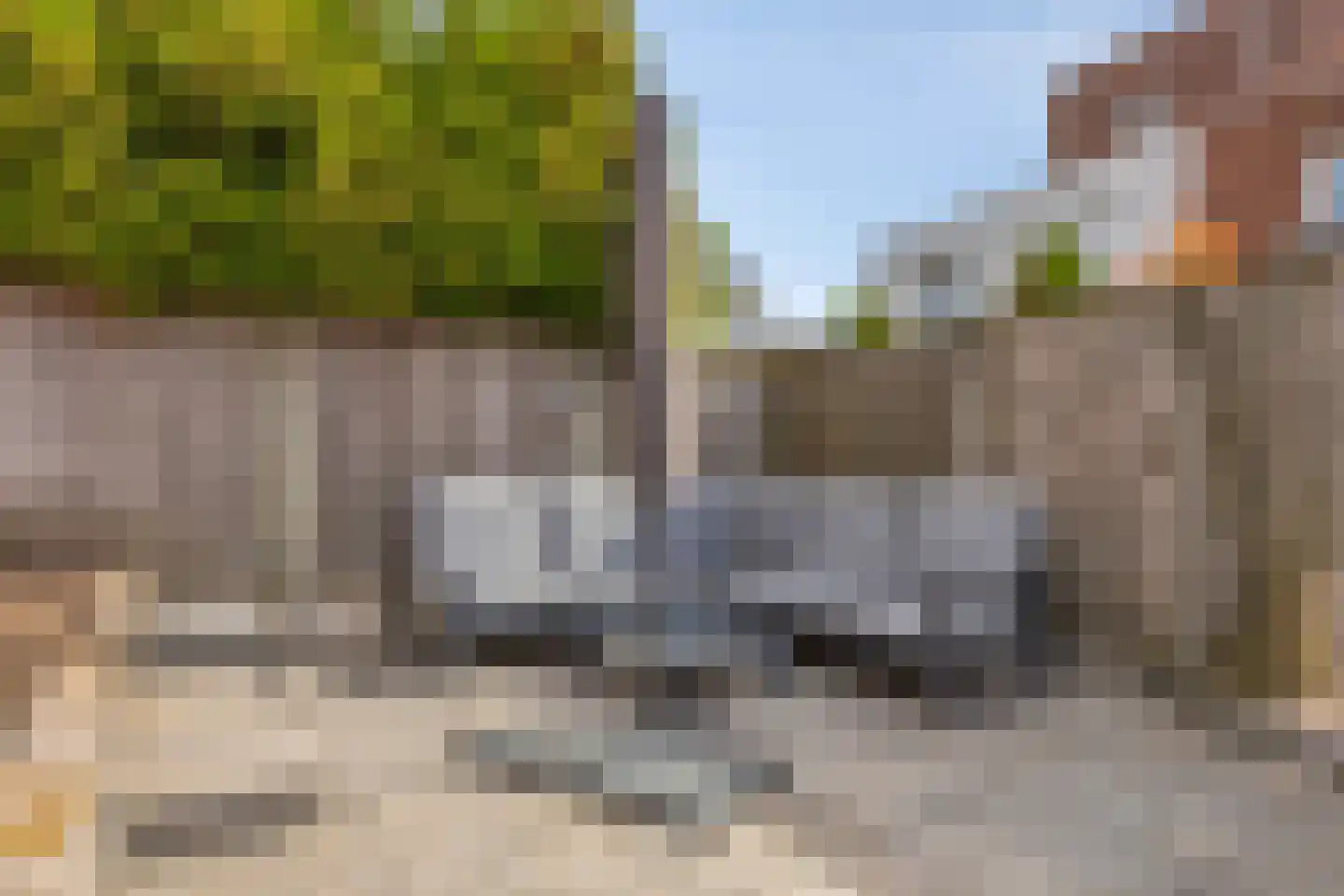 Strandkrab 5 Bergen op Zoom thumbnail 52