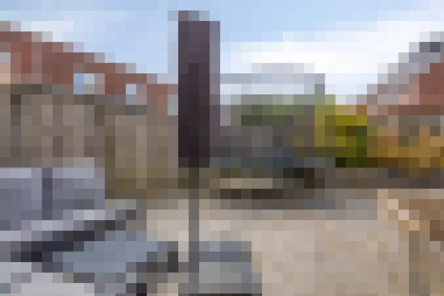 Strandkrab 5 Bergen op Zoom thumbnail 53