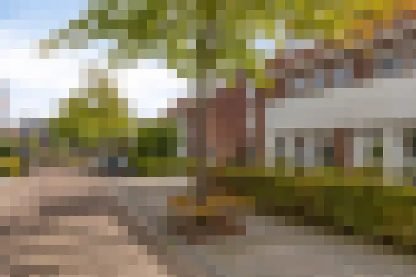 Strandkrab 5 Bergen op Zoom thumbnail 55