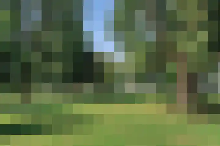 Strandlaan 12 Naarden thumbnail 39