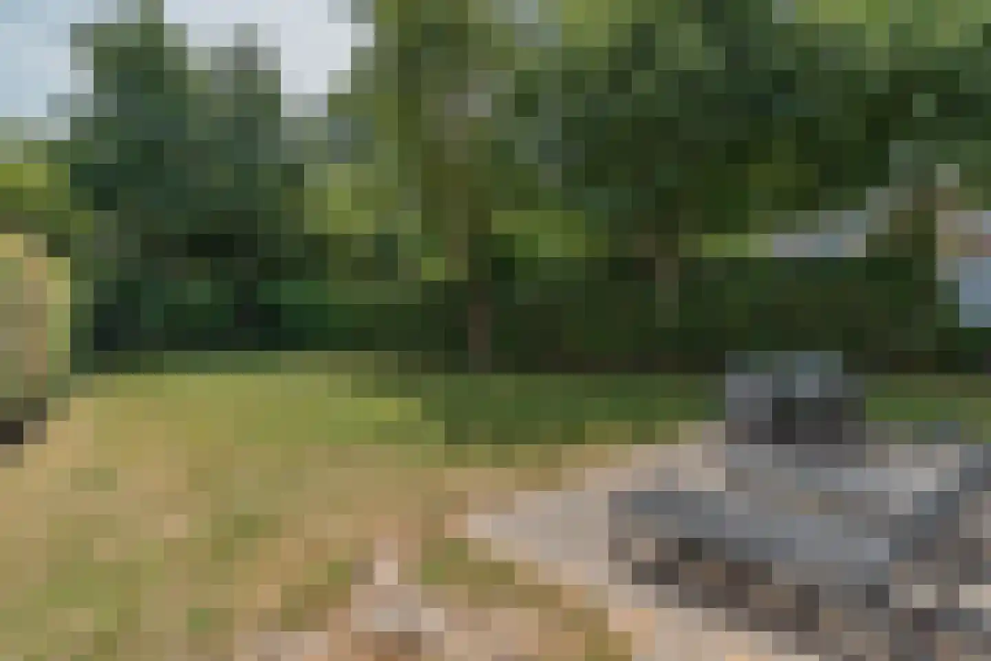 Strandlaan 18 Kamperland thumbnail 24