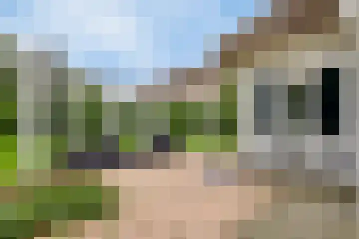 Strandlaan 34 Kamperland thumbnail 25