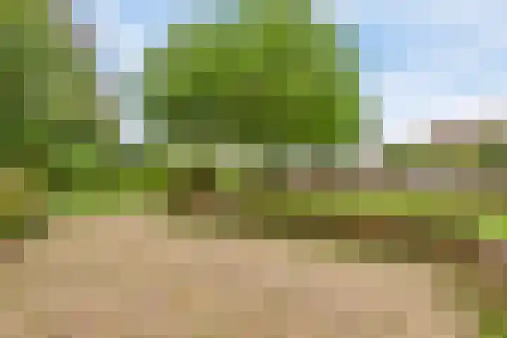 Strandlaan 34 Kamperland thumbnail 26