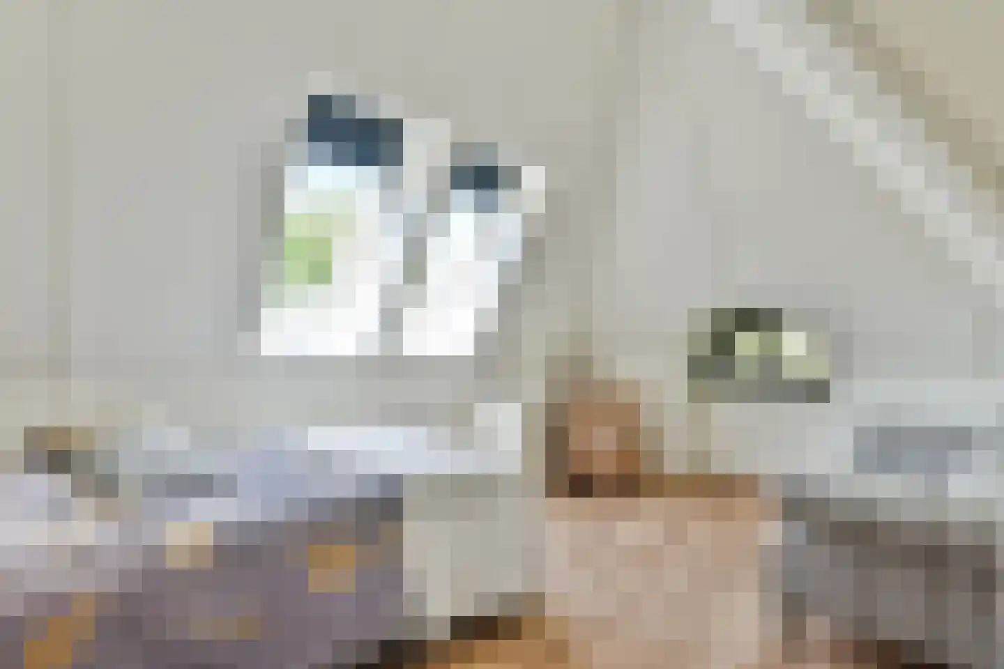 Strandlaan 4 Naarden thumbnail 41