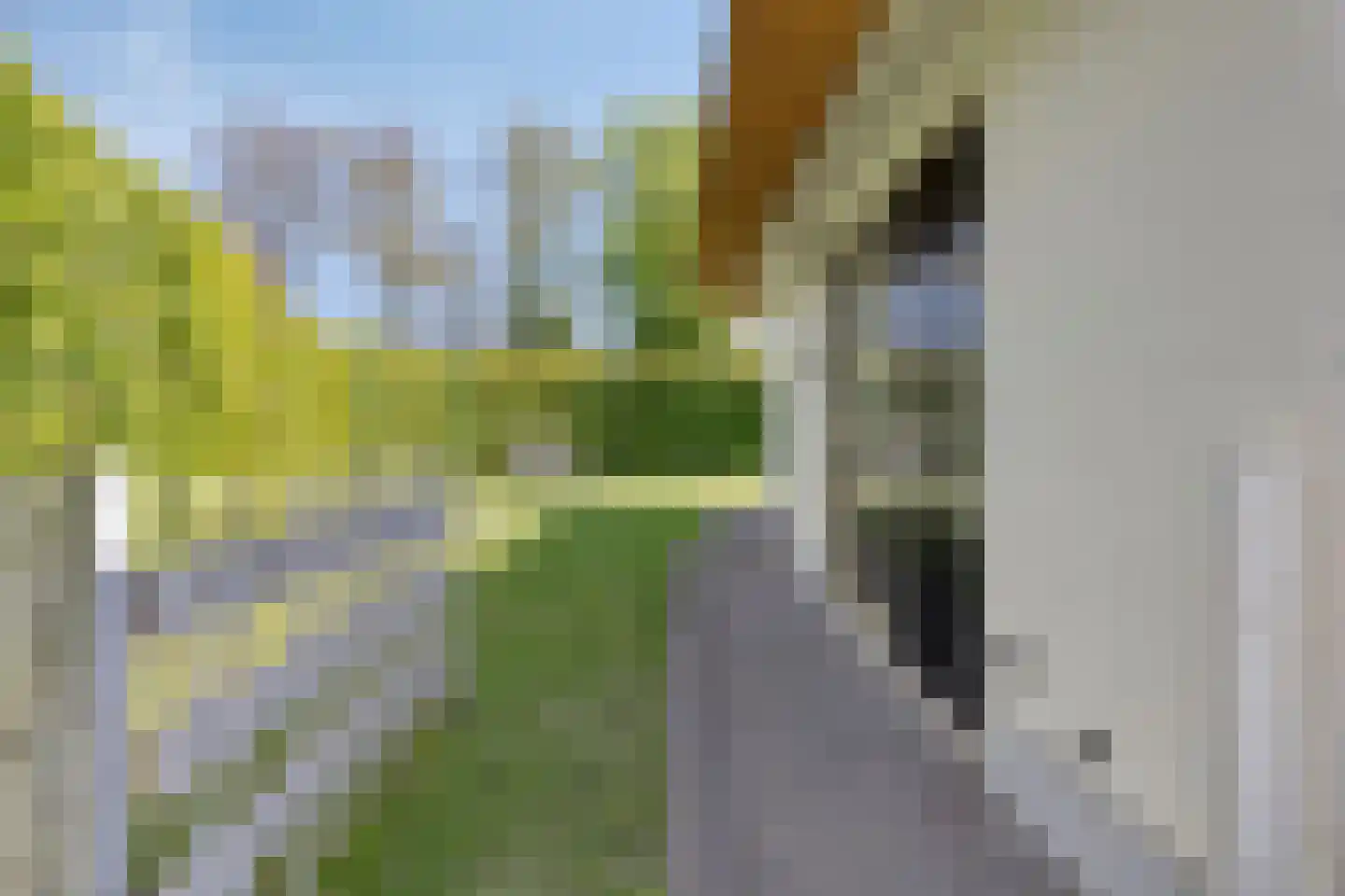 Strandlaan 54 Kamperland thumbnail 44