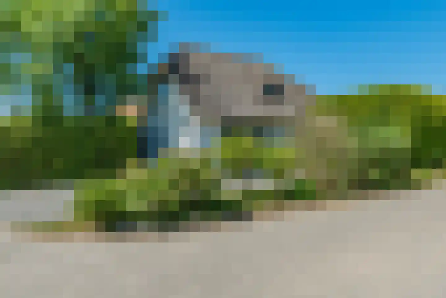 Strandlaan 61 Kamperland thumbnail 6