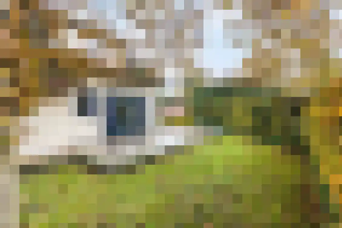 Strandlaan 64 Kamperland thumbnail 19