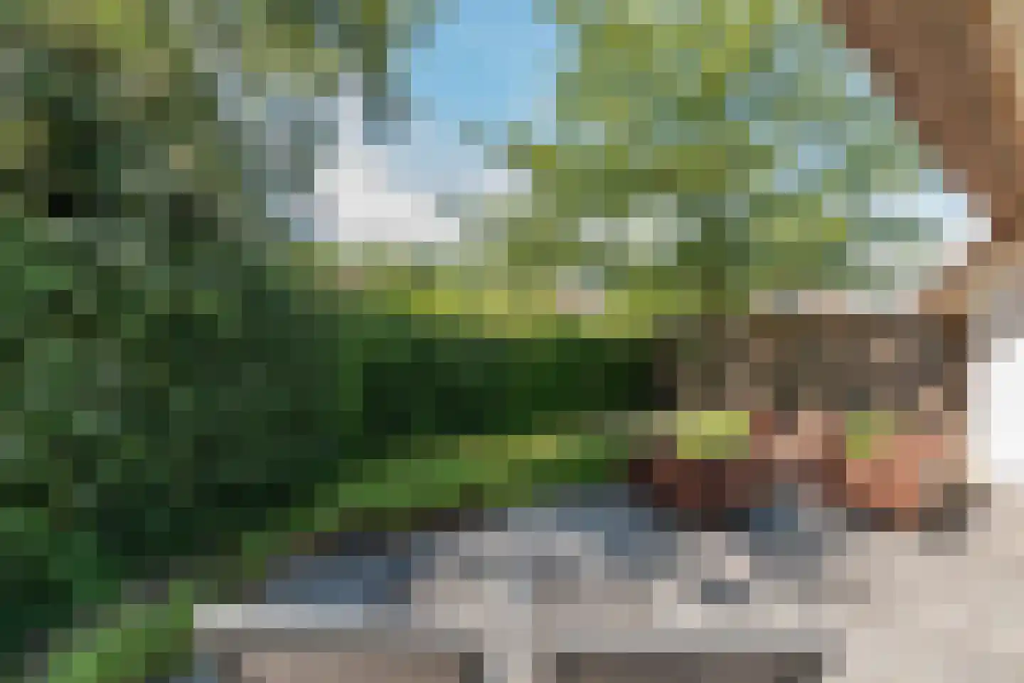 Strandlaan 64 Kamperland thumbnail 26
