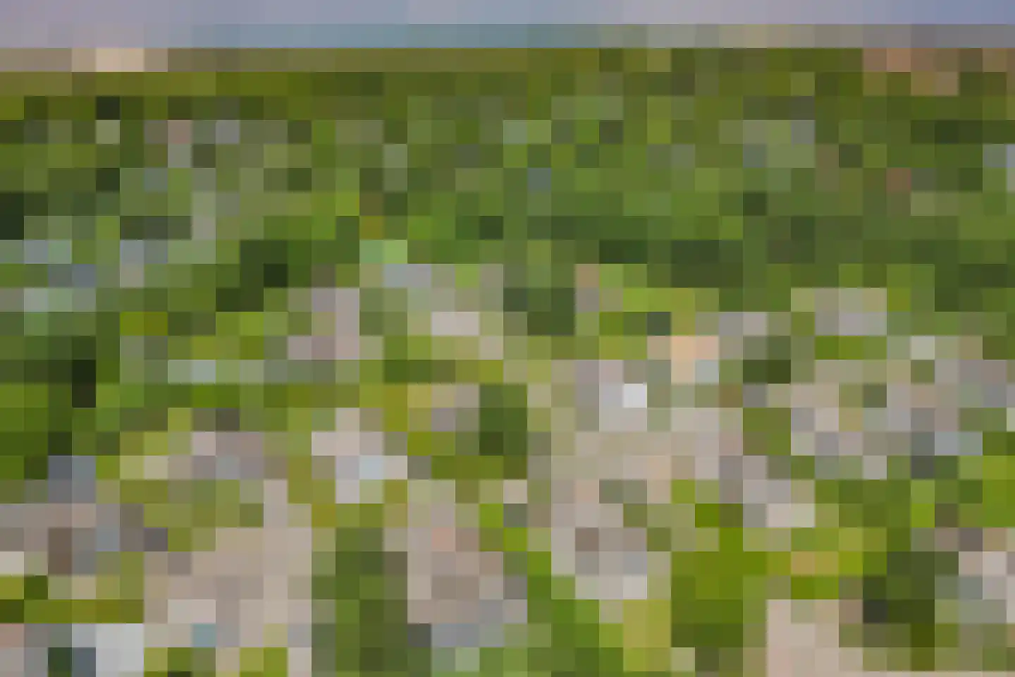 Strandlaan 64 Kamperland thumbnail 29