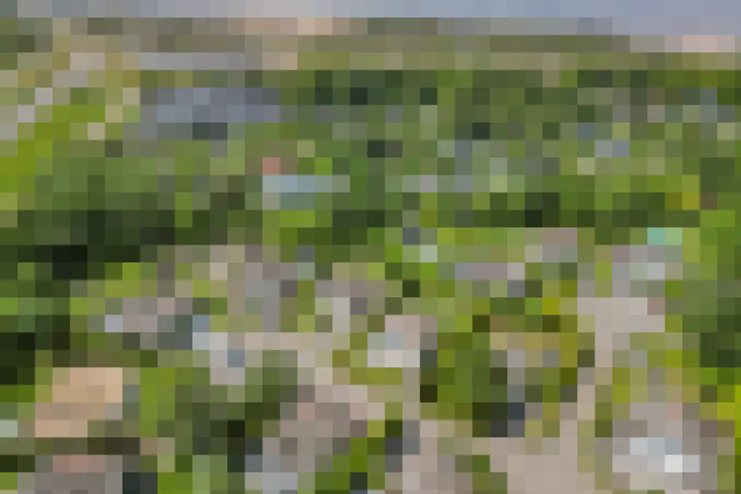 Strandlaan 64 Kamperland thumbnail 30