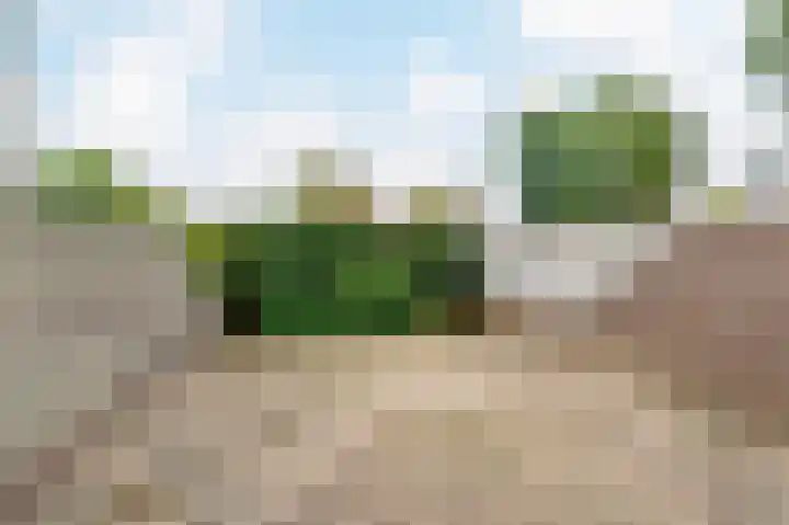 Strandloper 4 Noordwijk thumbnail 29