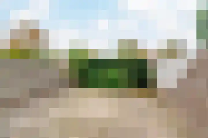 Strandloper 4 Noordwijk thumbnail 30