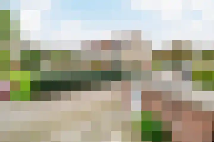 Strandloper 4 Noordwijk thumbnail 35