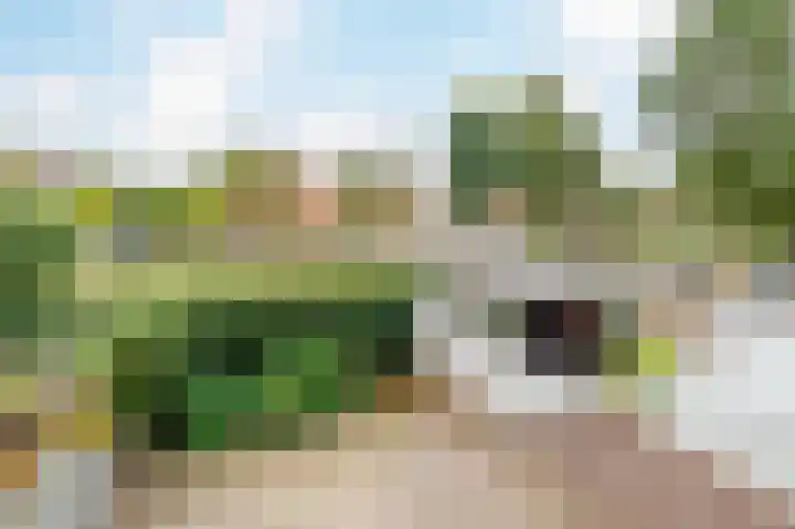 Strandloper 4 Noordwijk thumbnail 37