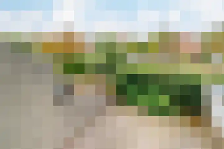 Strandloper 4 Noordwijk thumbnail 38