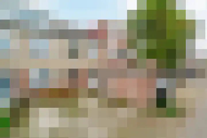 Strandloper 4 Noordwijk thumbnail 5