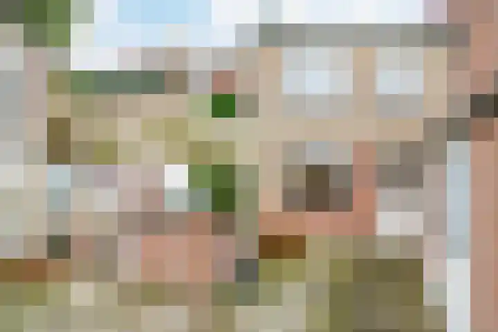 Strandloper 4 Noordwijk thumbnail 6