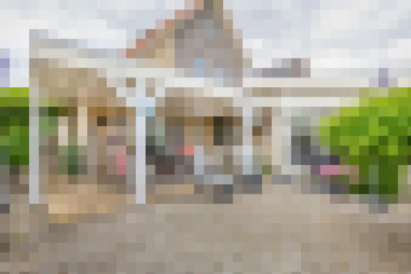 Strandloper 41 Lemmer thumbnail 18