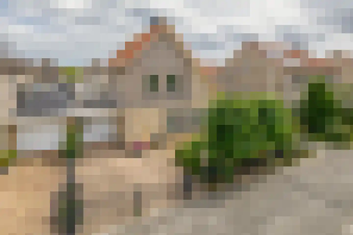 Strandloper 41 Lemmer thumbnail 36