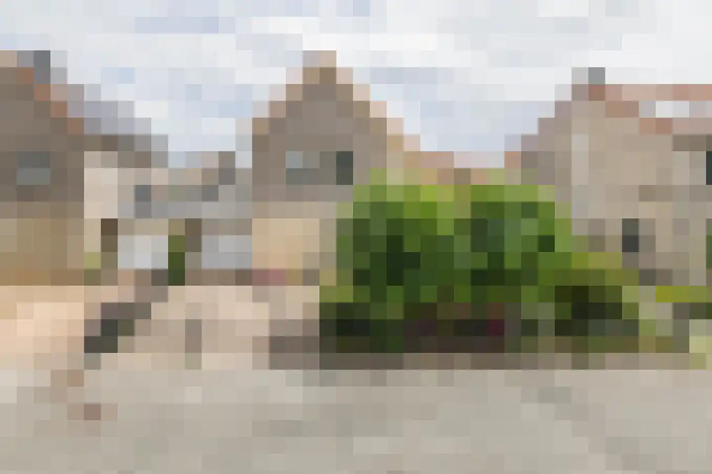 Strandloper 41 Lemmer thumbnail 37