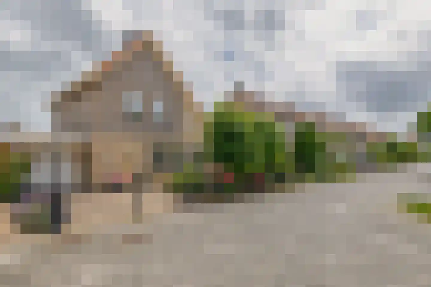 Strandloper 41 Lemmer thumbnail 4