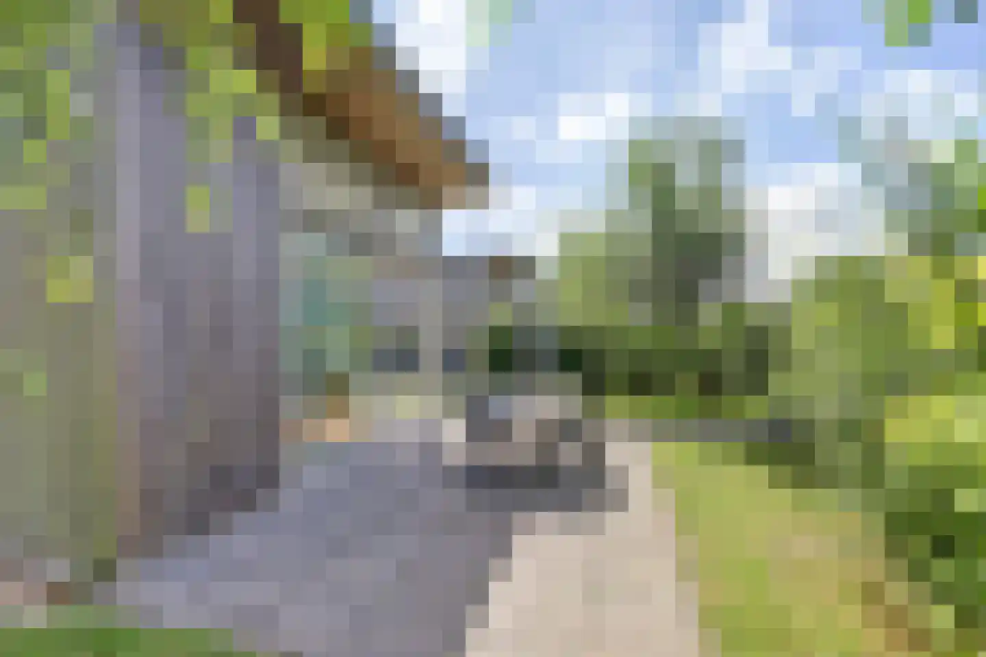 Strandloper 42 Kamperland thumbnail 23