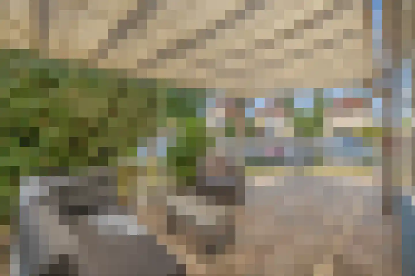 Strandloper 5 Lemmer thumbnail 33