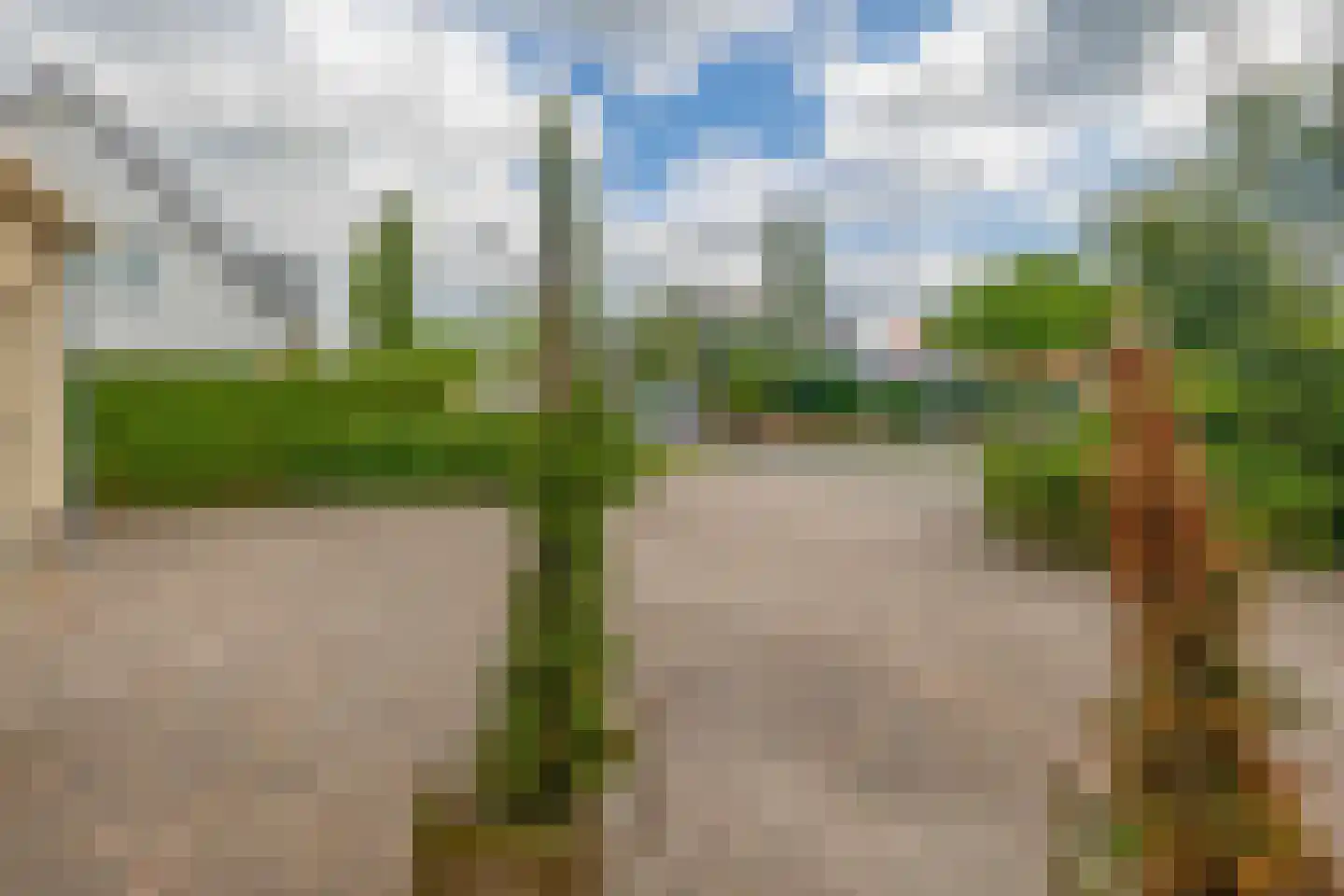 Strandloper 5 Lemmer thumbnail 56