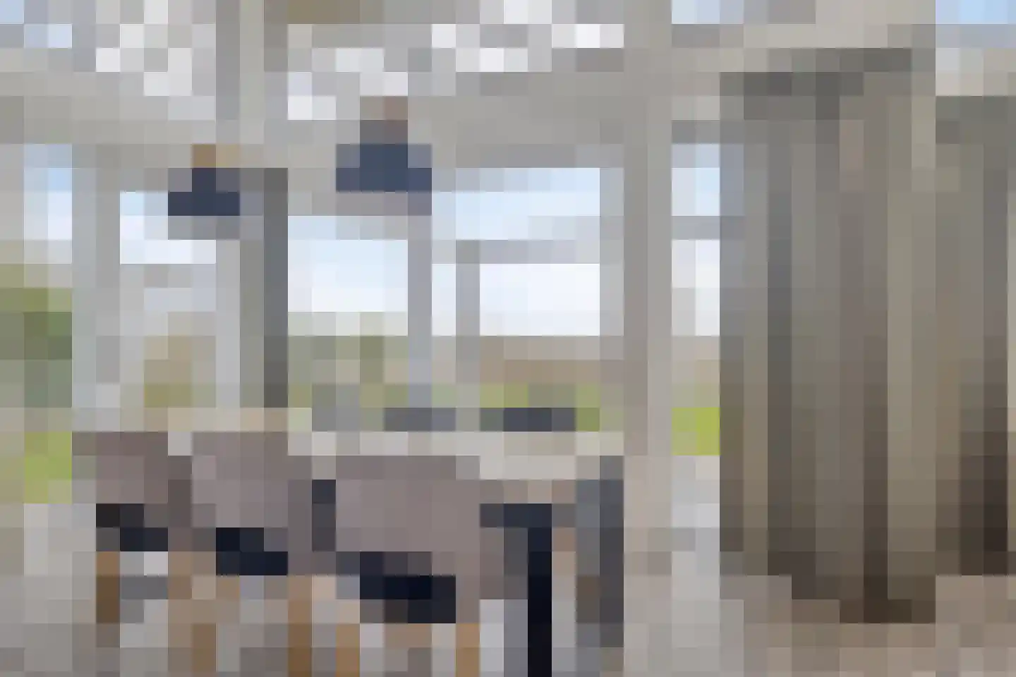 Strandloper 65 Kamperland thumbnail 11