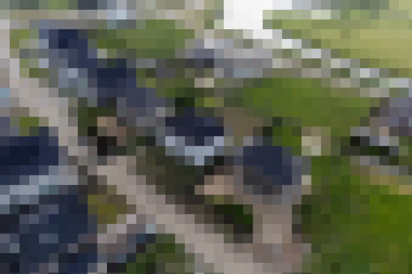 Strandloperlaan 15 Almere thumbnail 67