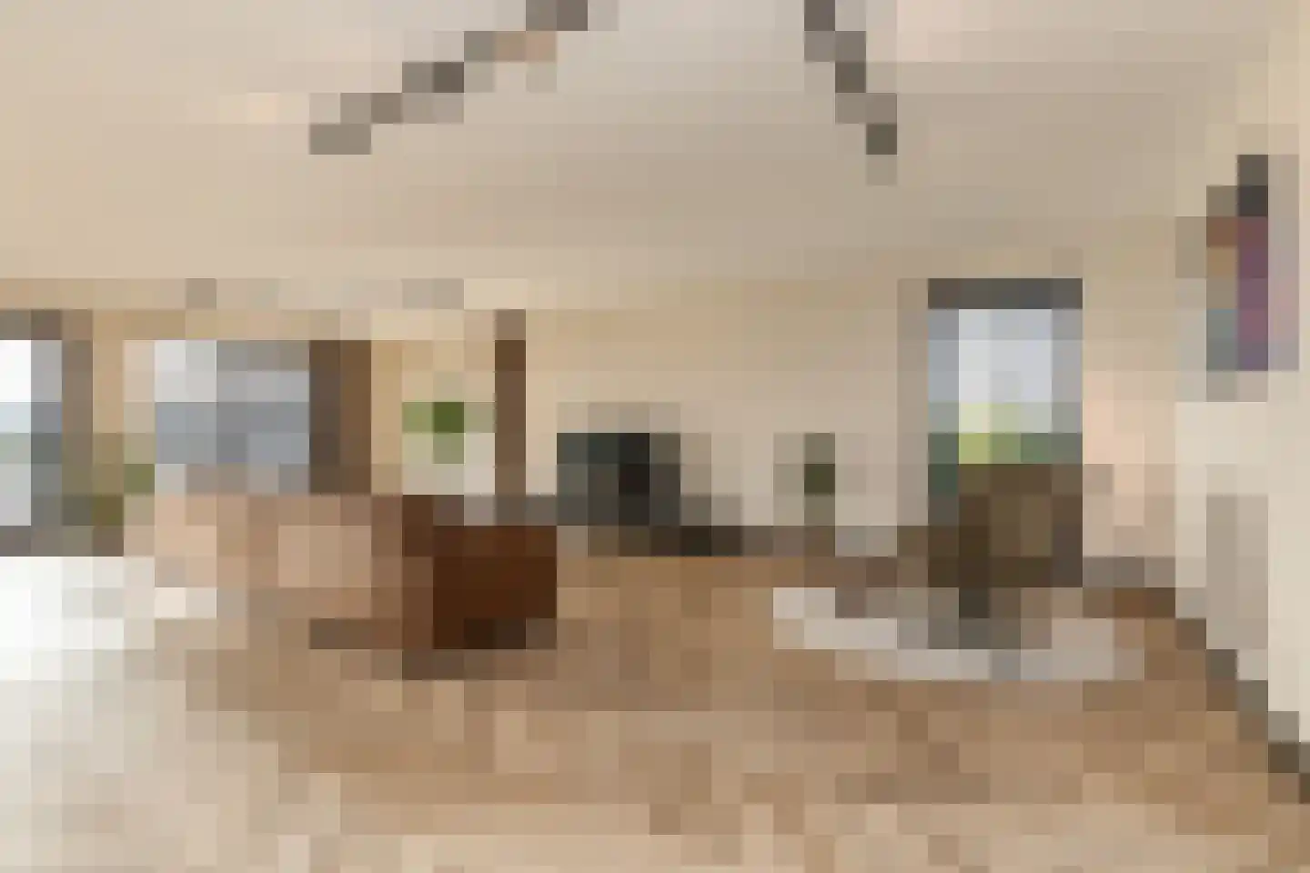 Strandloperlaan 5 Almere thumbnail 31