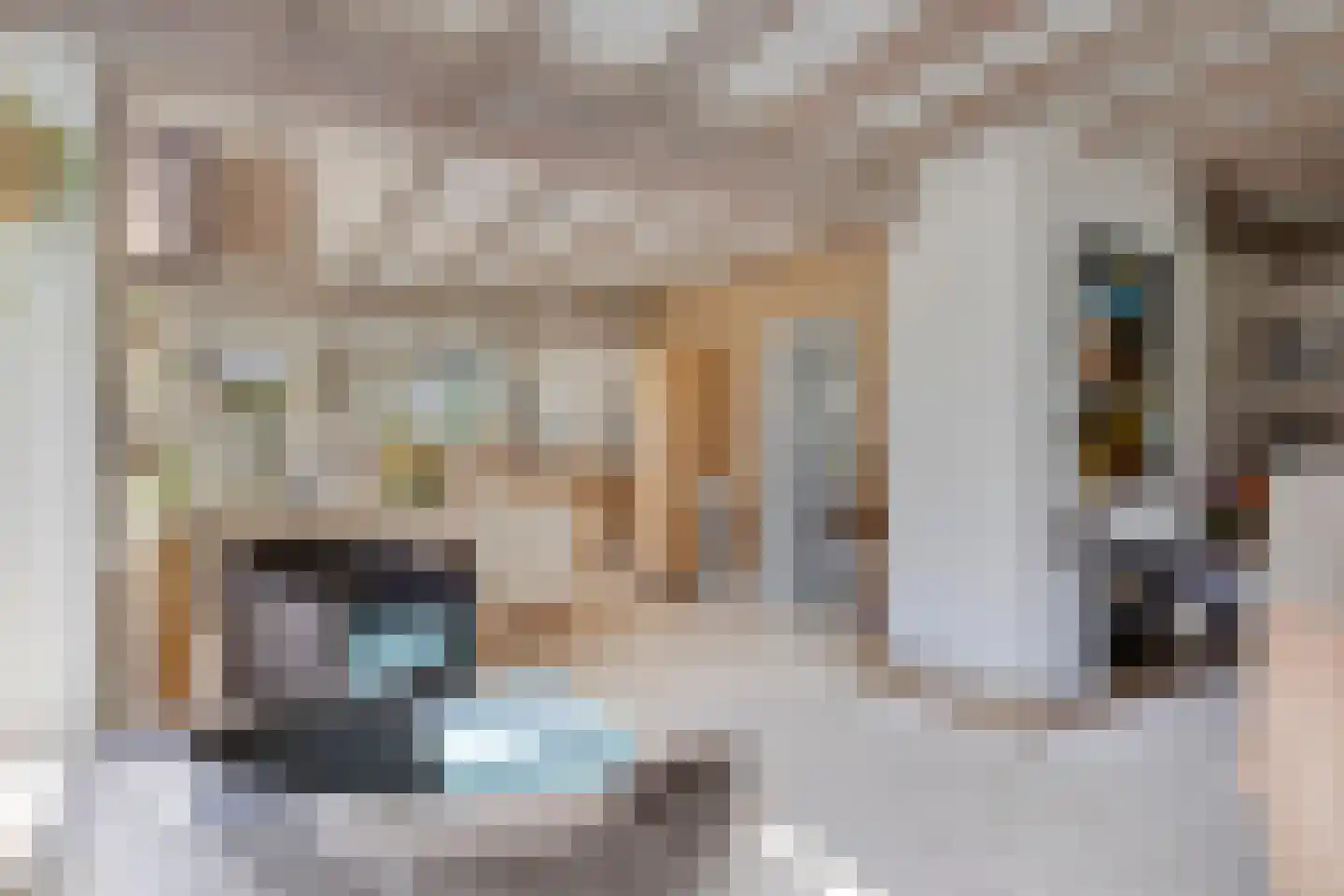 Strandloperstraat 2 Heinkenszand thumbnail 12