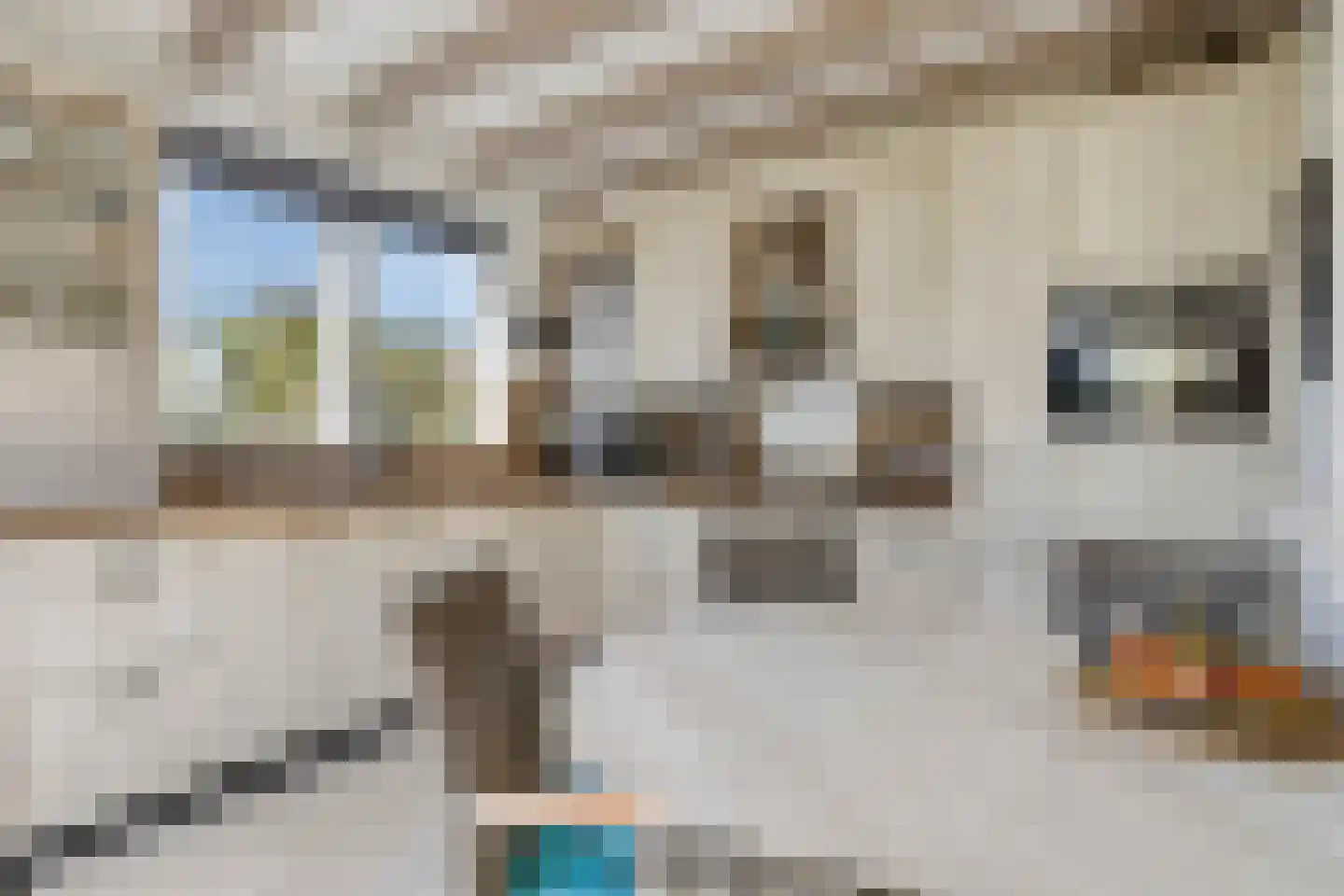 Strandloperstraat 2 Heinkenszand thumbnail 18