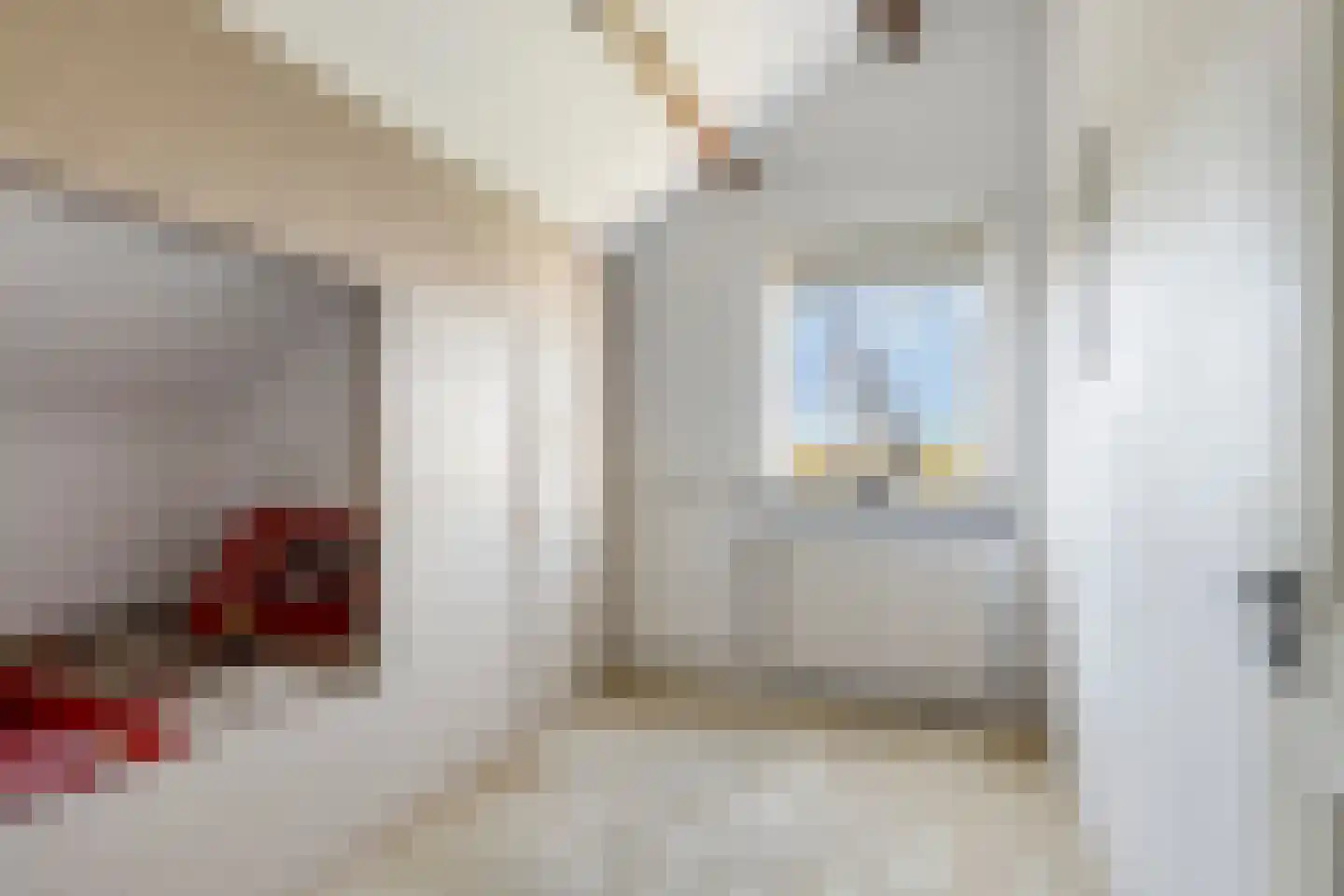 Strandloperstraat 2 Heinkenszand thumbnail 31