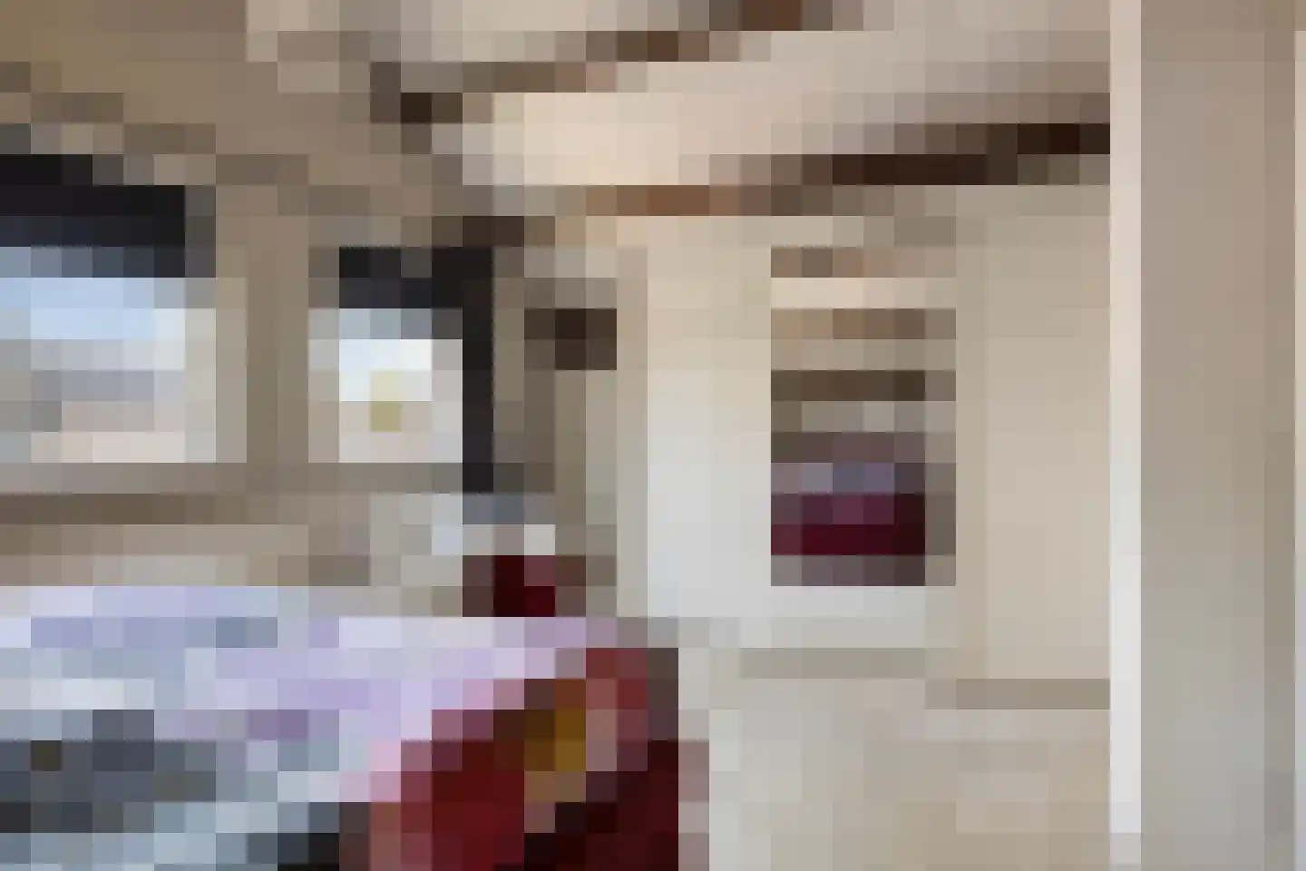 Strandloperstraat 2 Heinkenszand thumbnail 34