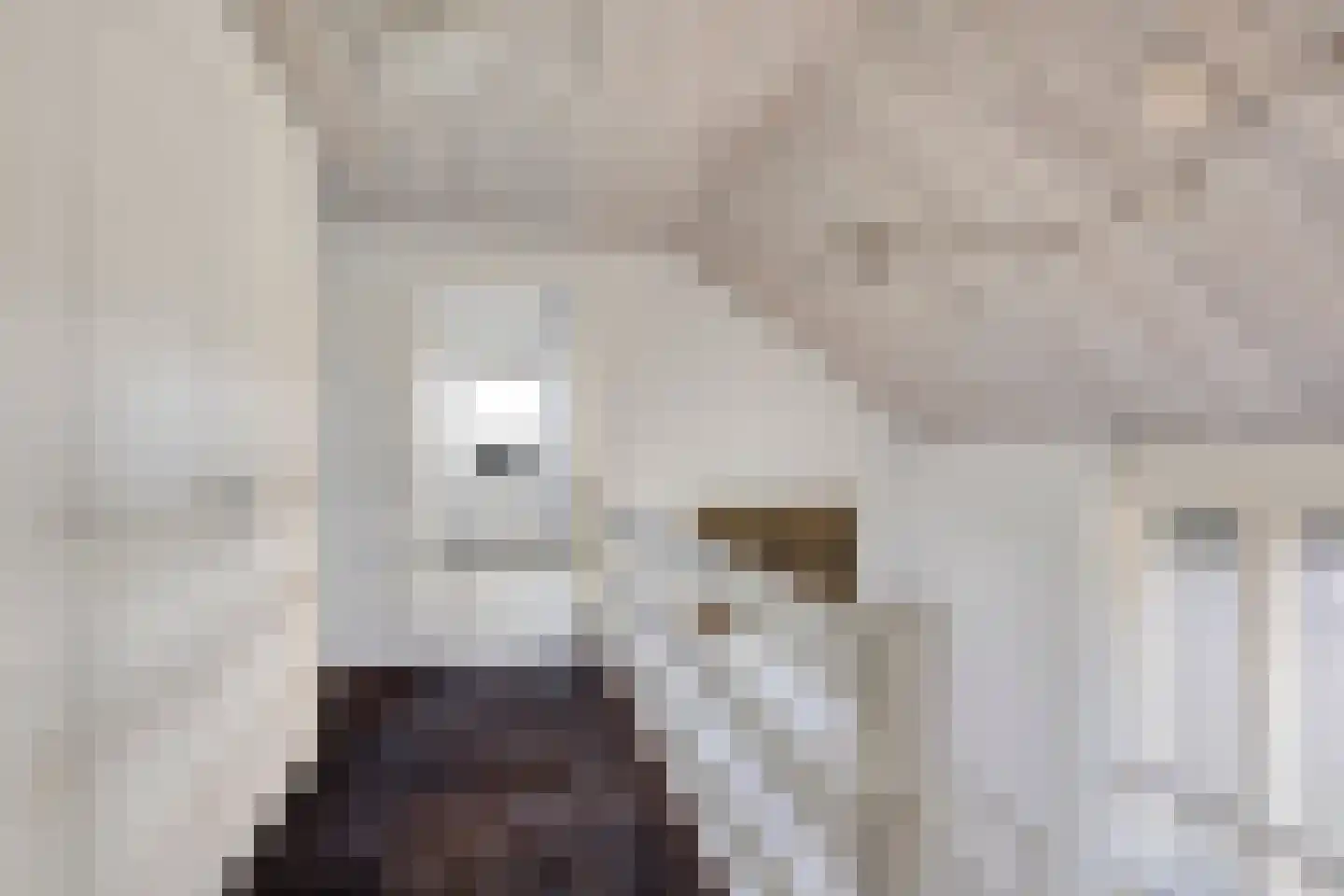 Strandloperstraat 2 Heinkenszand thumbnail 41