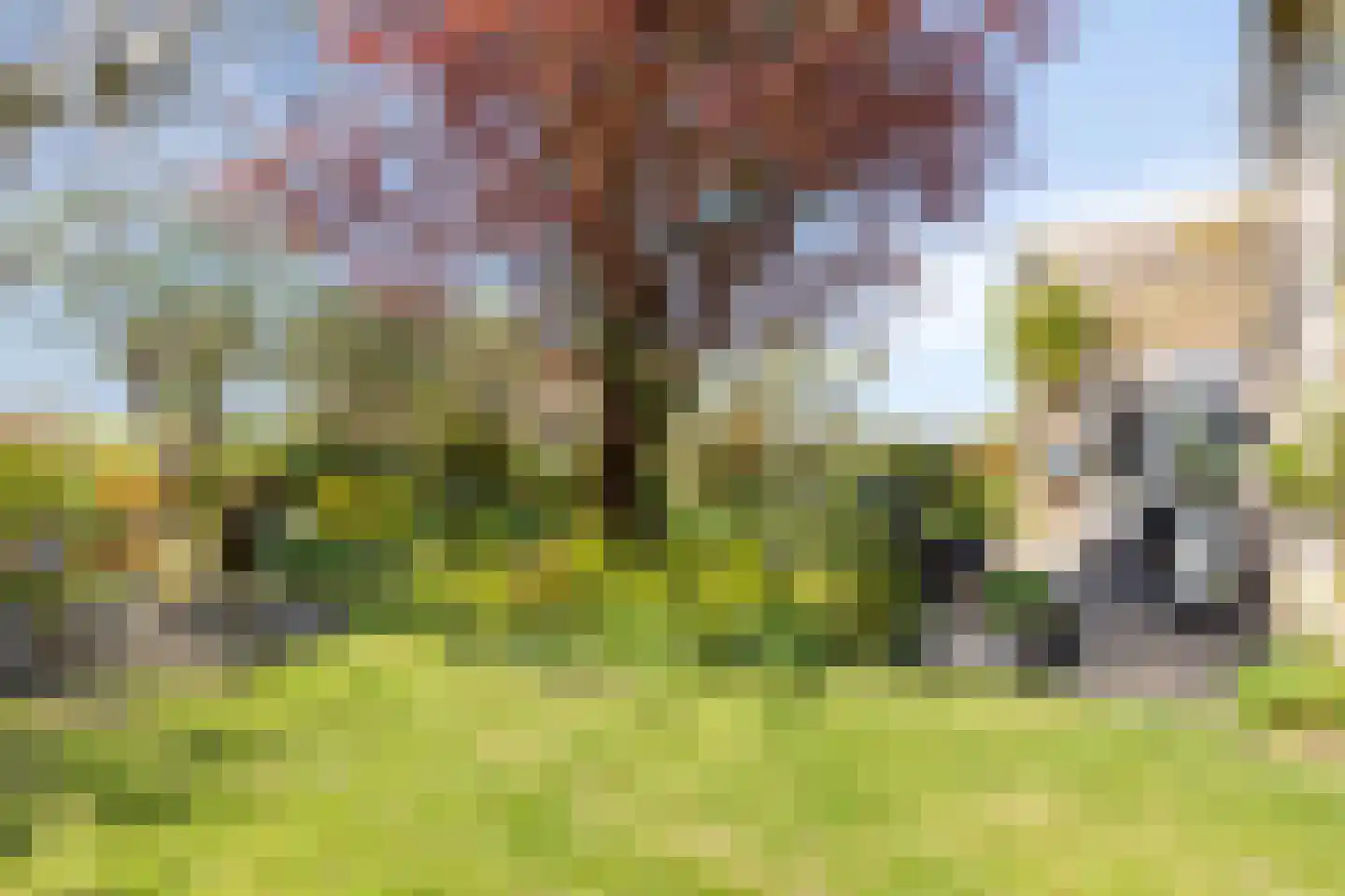 Strandloperstraat 2 Heinkenszand thumbnail 48