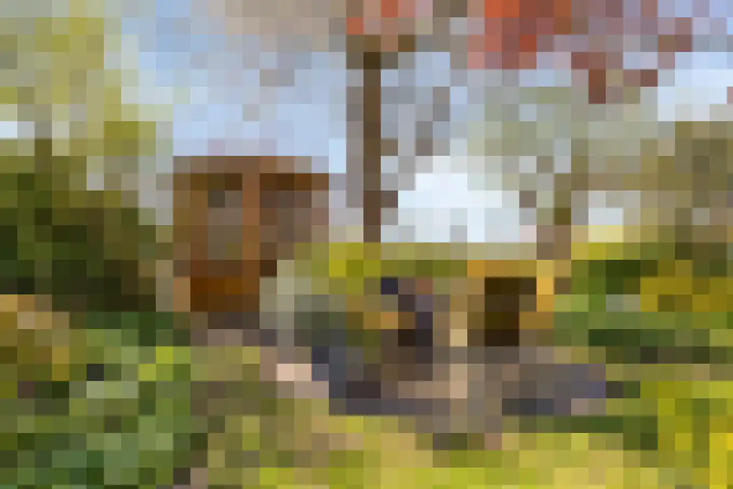 Strandloperstraat 2 Heinkenszand thumbnail 49