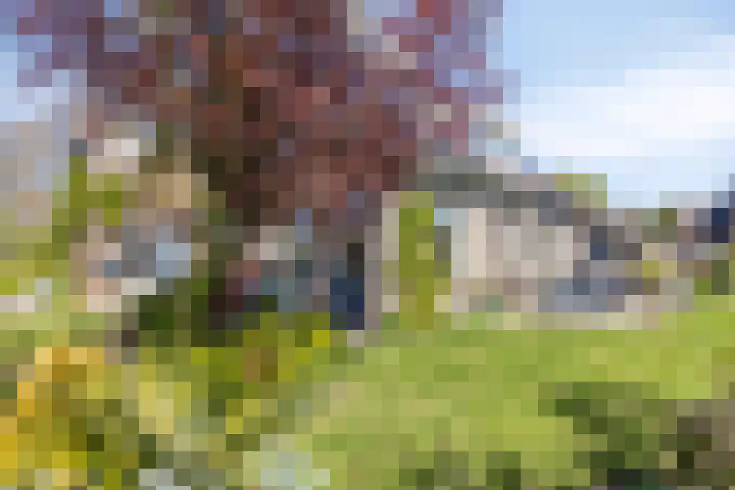 Strandloperstraat 2 Heinkenszand thumbnail 51