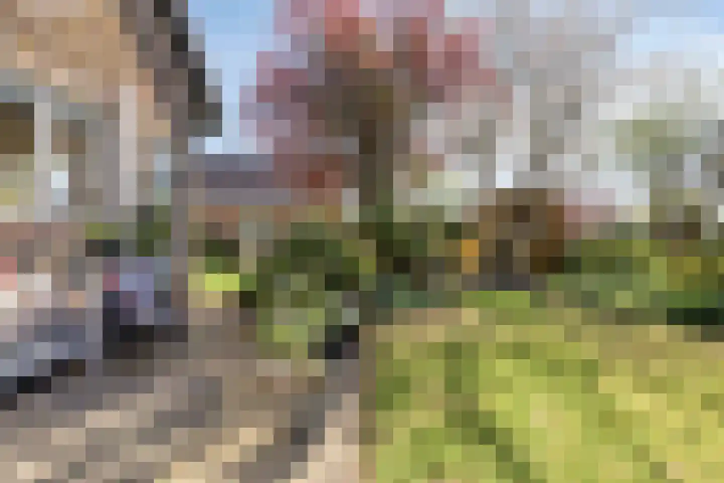 Strandloperstraat 2 Heinkenszand thumbnail 53