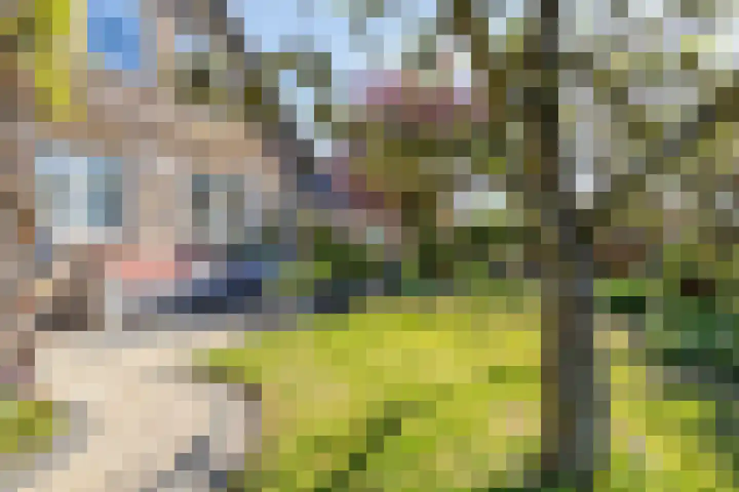 Strandloperstraat 2 Heinkenszand thumbnail 54