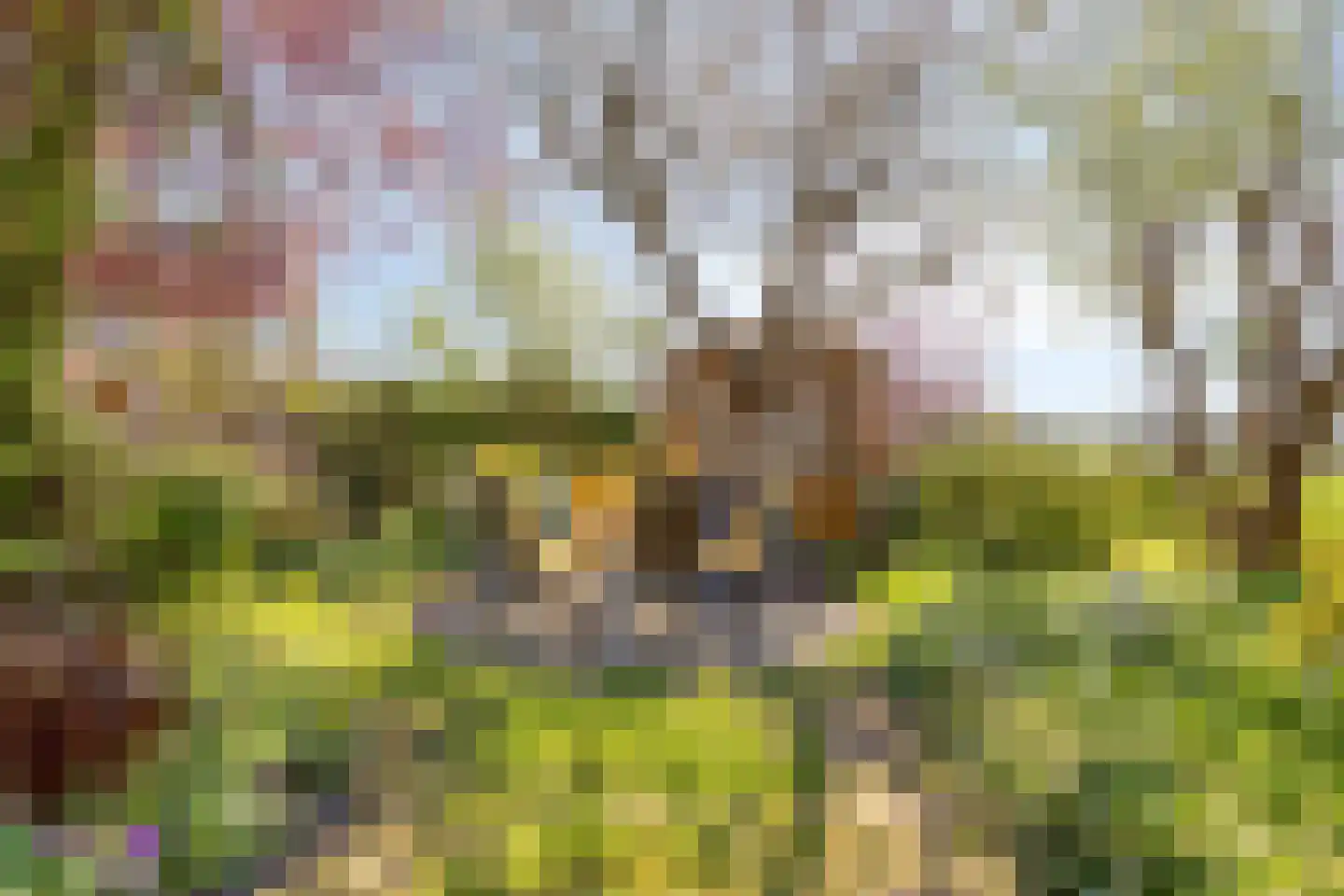 Strandloperstraat 2 Heinkenszand thumbnail 55